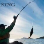 fiskning