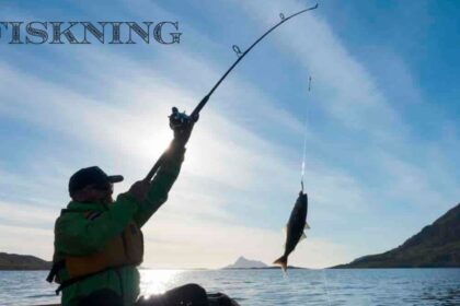 fiskning